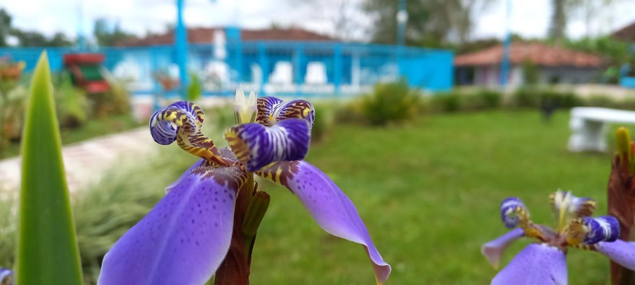 פואבלו טפאו Finca Hotel Villa Del Sol מראה חיצוני תמונה